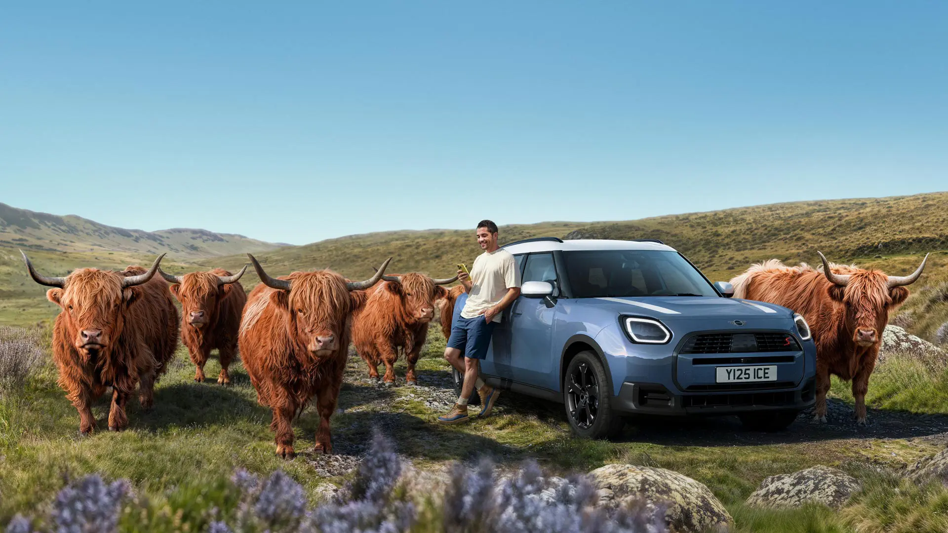 Muž se uvolněně opírá o své MINI Countryman S ALL4, zatímco je obklopen horskými býky v kopcovitém terénu.